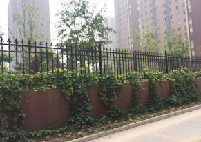 鐵藝圍欄定制DM102